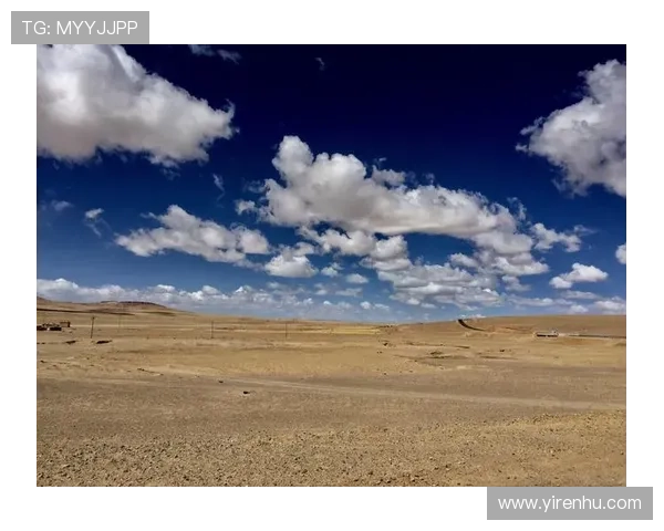 开云最新网址安全访问指南，确保用户顺利登录最新平台