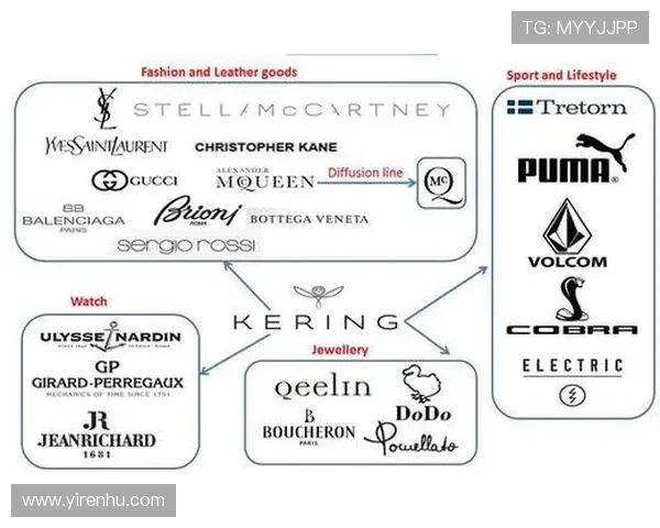 探索开云公司官网的独特魅力与最新动态