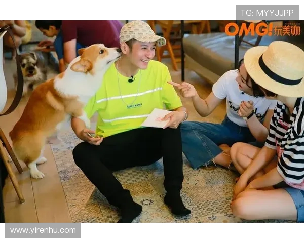 揭开开云体育最新链接的秘密，让你轻松获取想要信息